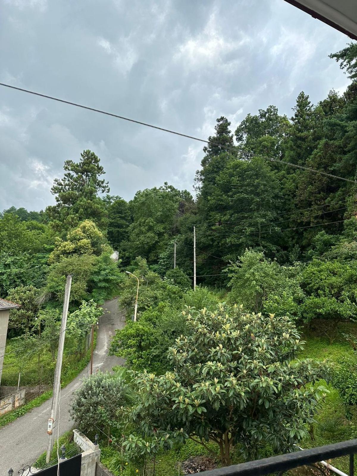 Shamil House Konuk evi Makhinjauri Dış mekan fotoğraf