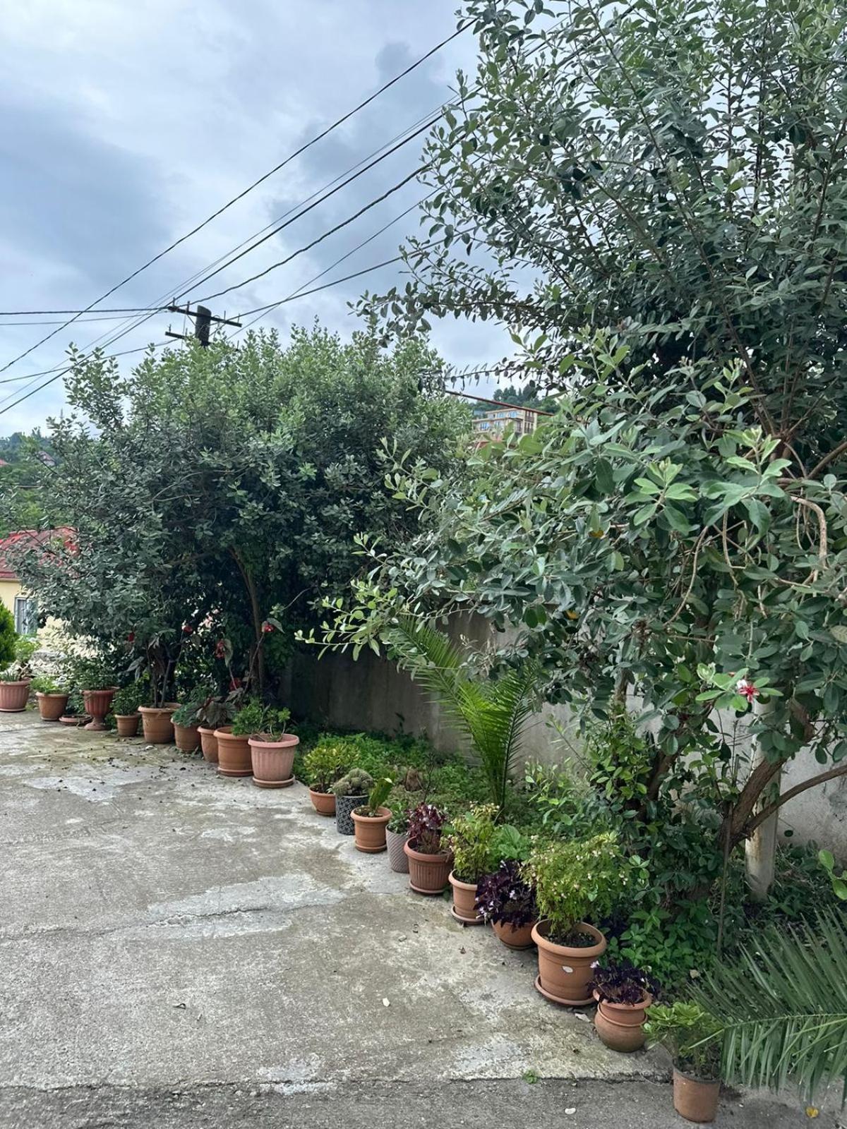 Shamil House Konuk evi Makhinjauri Dış mekan fotoğraf
