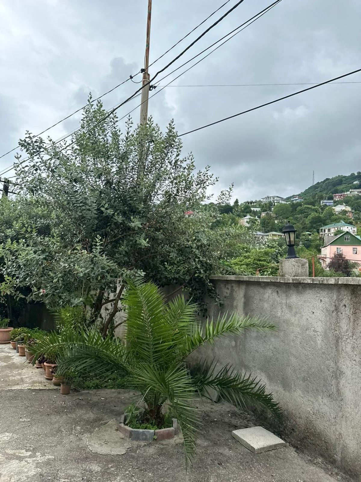 Shamil House Konuk evi Makhinjauri Dış mekan fotoğraf