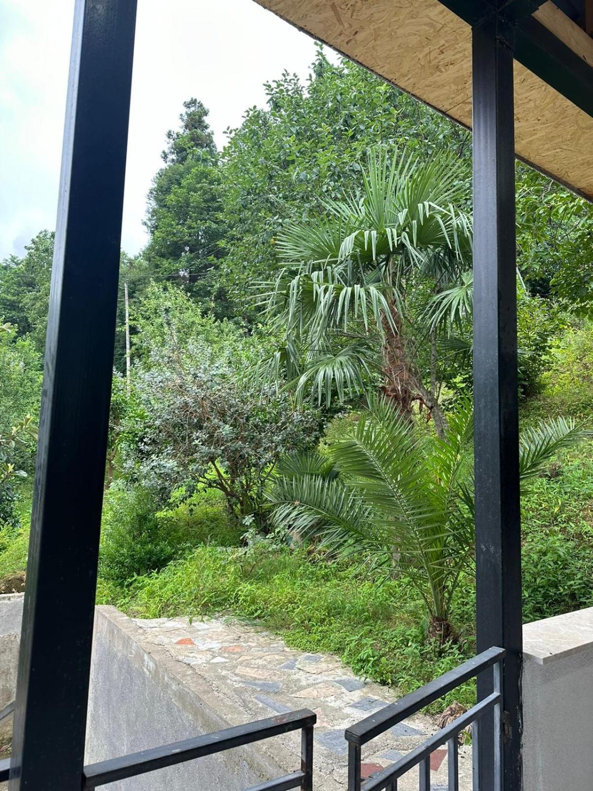 Shamil House Konuk evi Makhinjauri Dış mekan fotoğraf